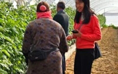Worker Dialogues in Spain