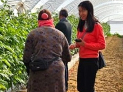 Worker Dialogues in Spain