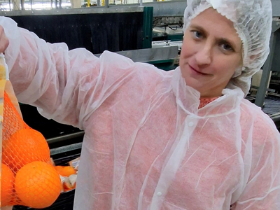 Onboarding of producers in Sevilla region started