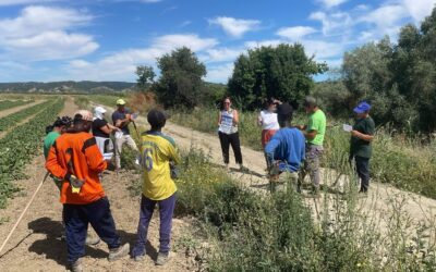 Onboarding of first producers across southern Italy successful